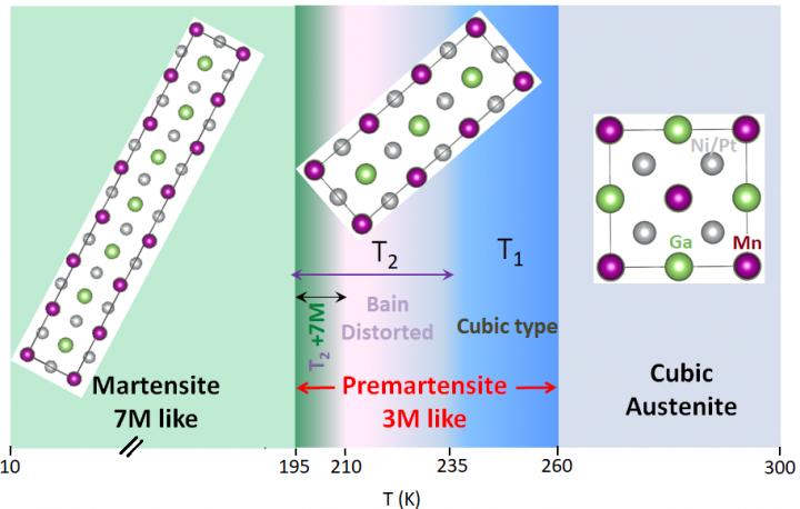 Temperature Dependent Phase Diagram of Ni1.9pt0.1mnga Magnetic Shape Memory Alloy
