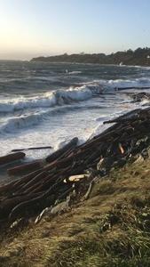 Drift log movement 3