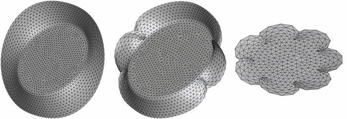DIFFERENT FRACTURE SHAPES CAPTURED BY THE NEW ALGORITHM