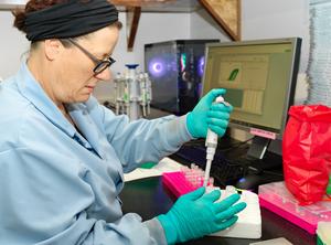 Dunlop, Rachael with qPCR