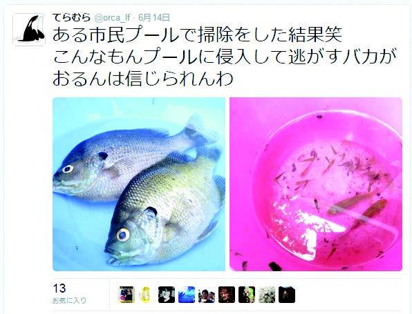 Tweet