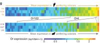 Gene Expression