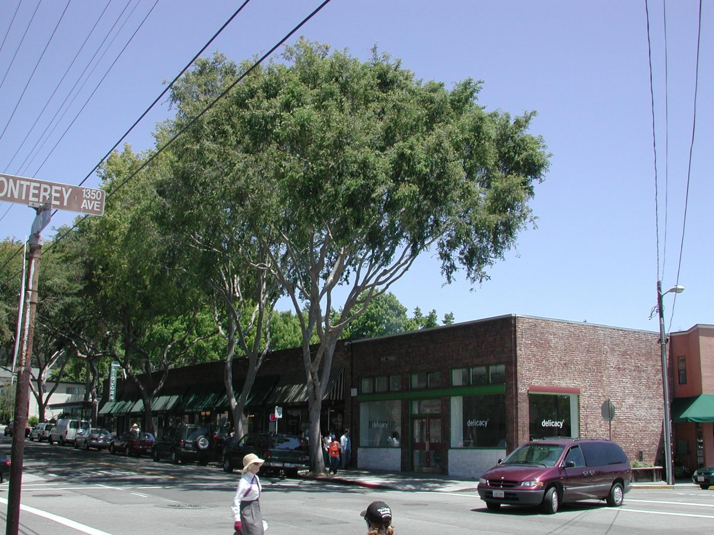 Urban Forests
