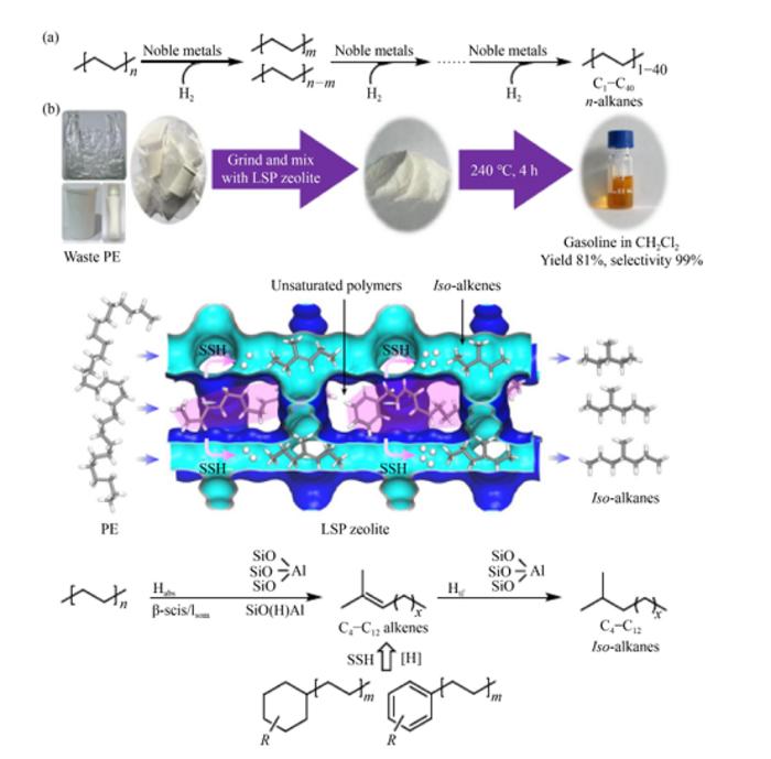 Representative routes of chemical conversion of polyolefins.