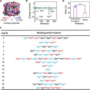 Figure 3. Binding site analysis of CAT-Ce6