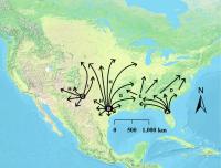 Origin Map