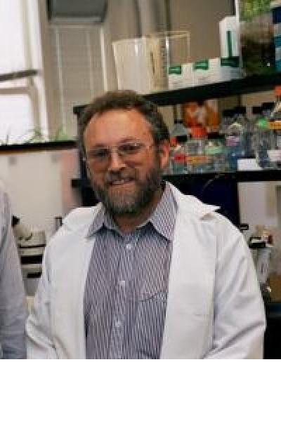 Dr. Gil Mor