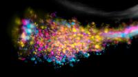 Antibiotic Gut Check