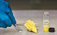 corn disection