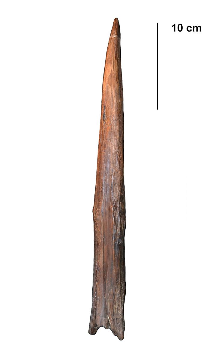 Clacton Spear Point