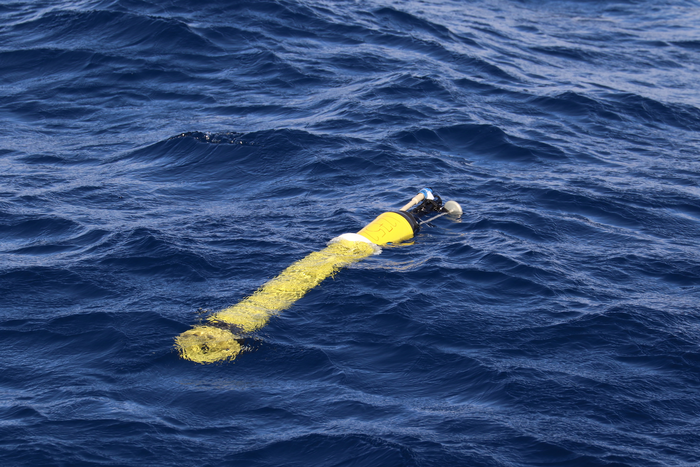 Biogeochemical-Argo float