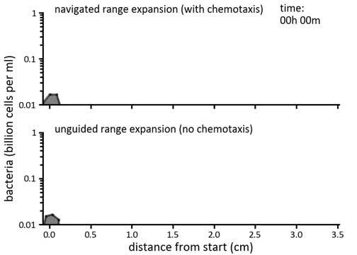 Navigated and Unguided Modes of Population Expansion