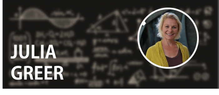 Julia R. Greer: Then and Now / 2011 Early Career Award Winner