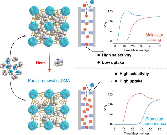 Pore engineering via controlled decomposition of counter cations in an anion-based metal-organic framework