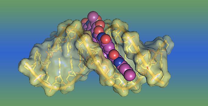Yatakemycin DNA Lesion