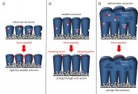 Stages of silicon film growth and mechanical strength