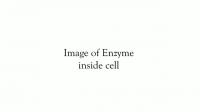 Structural Model of A-kinase Anchoring Protein 18 A protein Kinase A