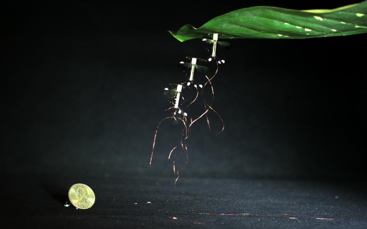Perching RoboBee