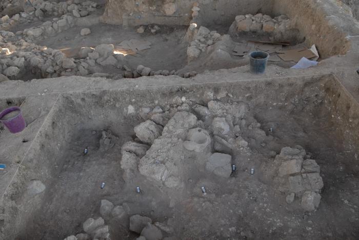 The studied area during excavation.