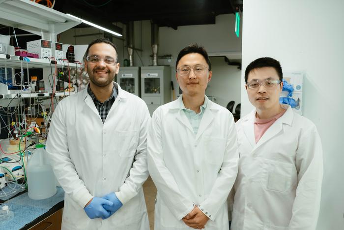 Haotian Wang Group