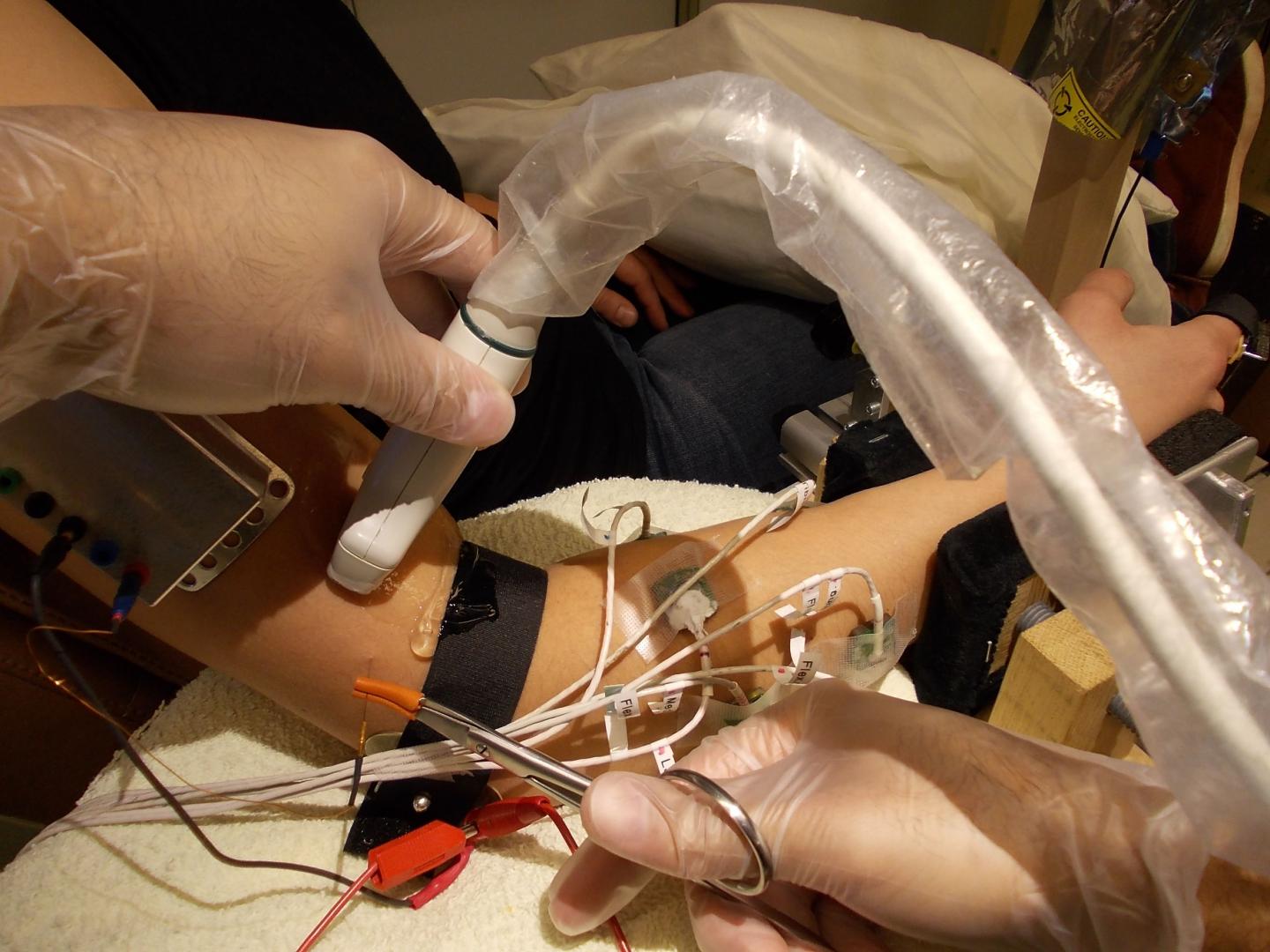 Experiment in Michael Dimitrious' Laboratory