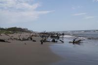 The receding coastline of the Fuerte River