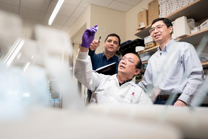 Midkine protein plays a preventive role against Alzheimer’s disease