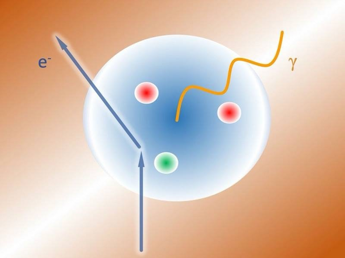 Decoding the Proton’s Response to an External Electromagnetic Field