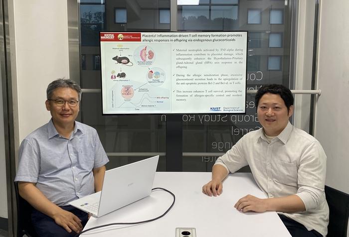 KAIST Reveals Placental Inflammation as the Cause of Allergies such as Pediatric Asthma​