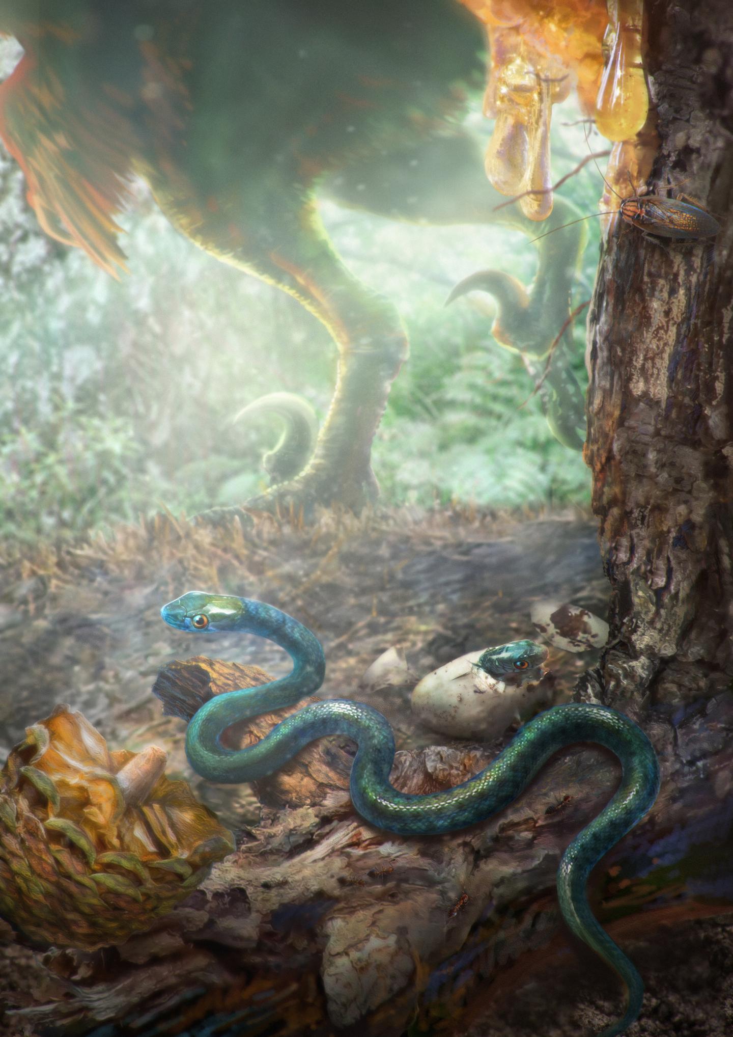 Oldest Baby Snake Fossil Found Preserved in Myanmar Amber (3 of 12)