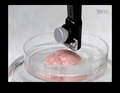 Environmentally-Controlled Microtensile Testing (2 of 2)