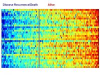 Lung Cancer Genomic Test