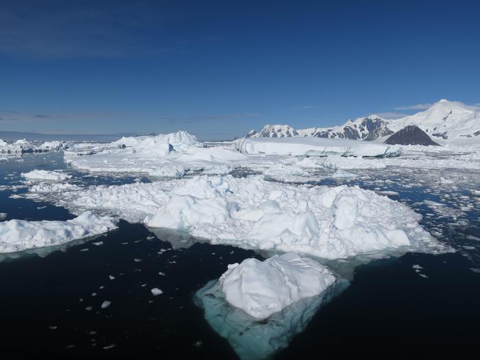 Ryder Bay, Antarctica