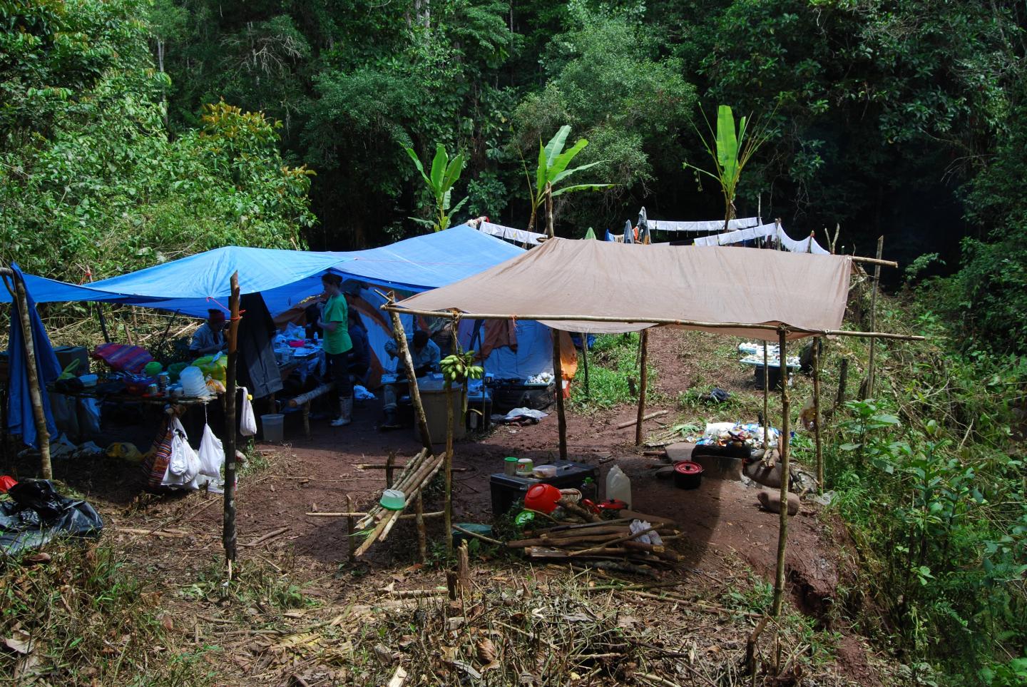 Fieldwork Site
