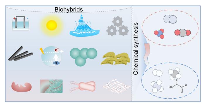 Biohybrids for sustainable chemical synthesis