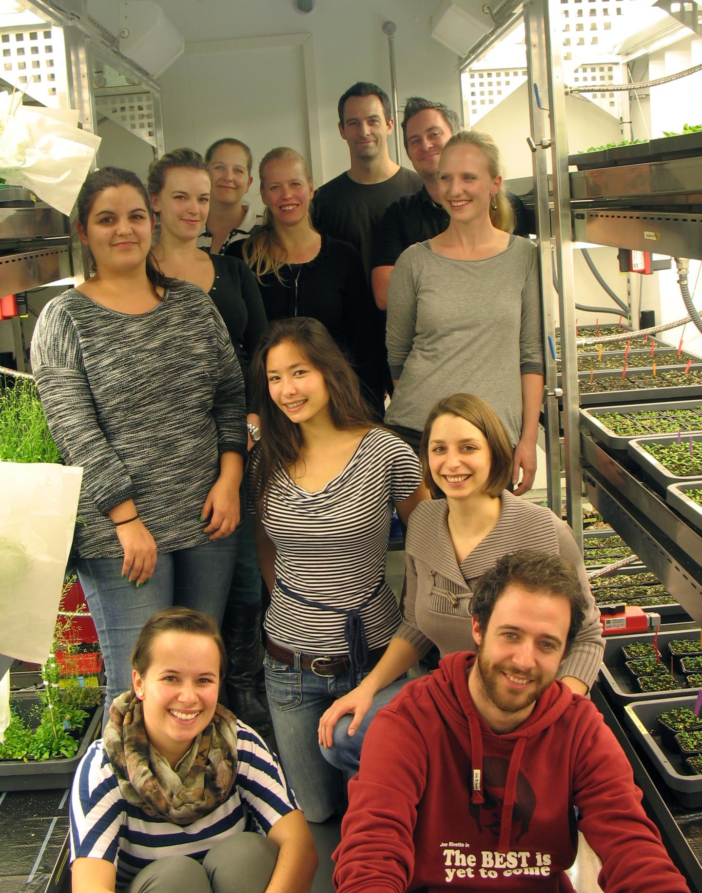 Research Team