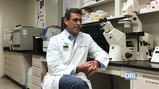 Settling the Pancreas Regeneration Debate