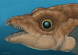 Illustration of tenaculum depressed
