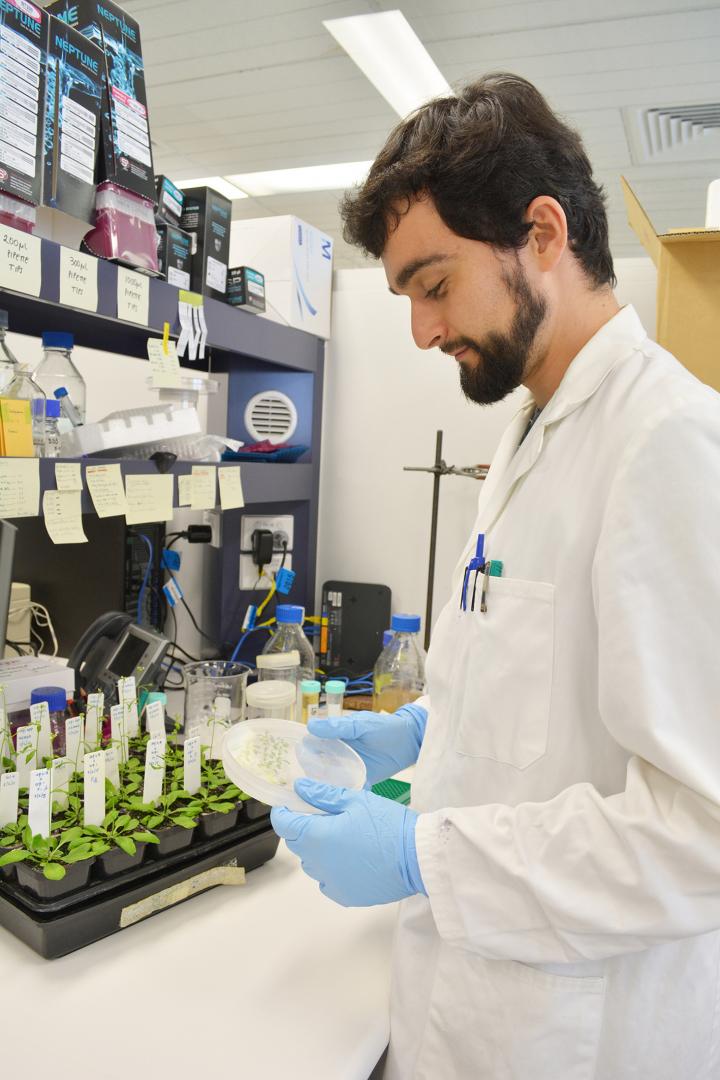 Rodrigo Reis, University of Sydney