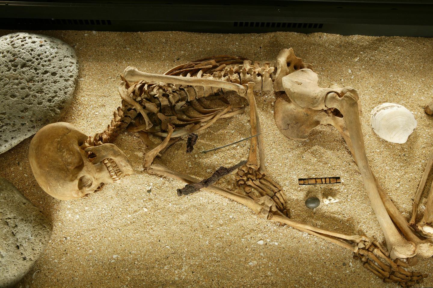 Two Genetic Stories of Human Migration into Iceland and the Americas (1 of 1)