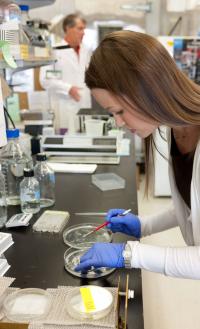 Marguerite Prior, Salk Institute for Biological Studies
