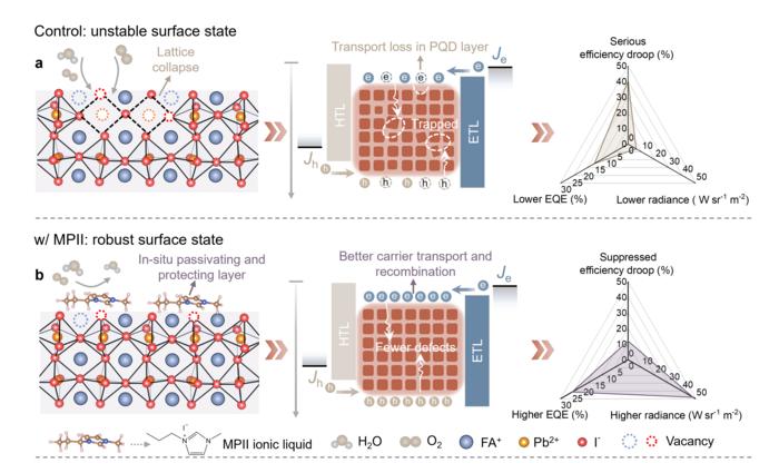 Figure 1 | Ionic liquid-mediated surface reconstruction strategy for PQDs.