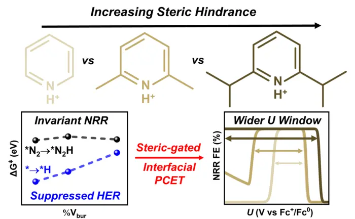 Schematic of asymmetric reaction rate control based on the steric donor–acceptor geometry of protons