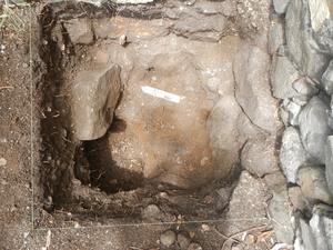 Excavation of a pit that contained large amounts of animal bone, shellfish remains, glass bottles, and cooking pot fragments.