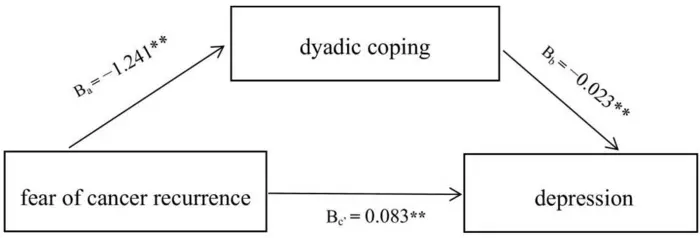 Mediating model of fear of cancer recurrence, dyadic coping and depression.
