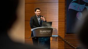 2025 Searle Scholar Andrew Yang of Gladstone Institutes