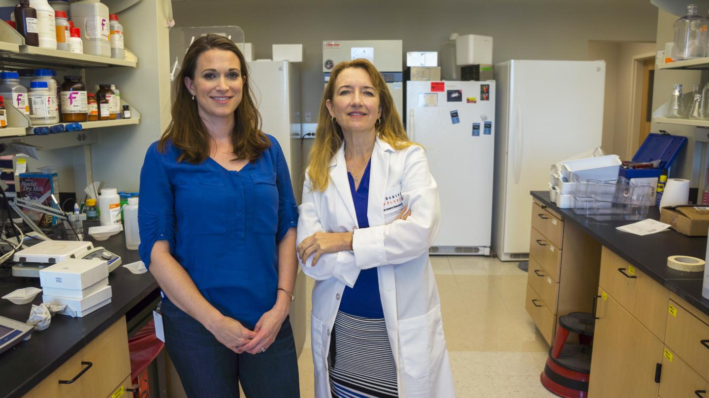 Cell study Authors