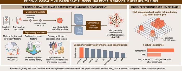 Overview of the analytical framework and key results.