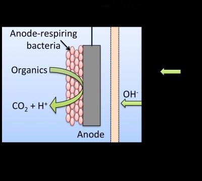 Microbial Fuel Cell