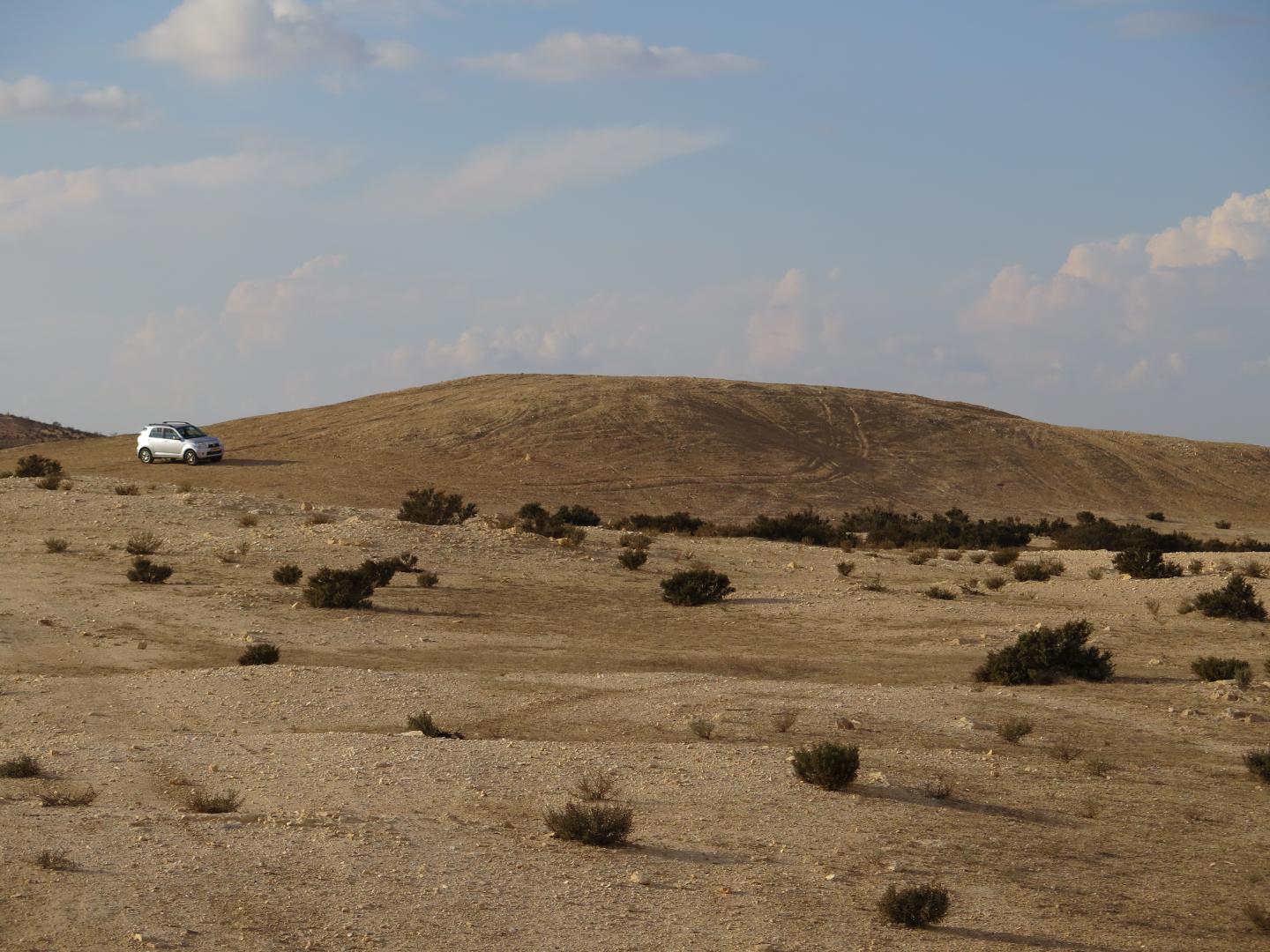 View of Elusa trash mound.